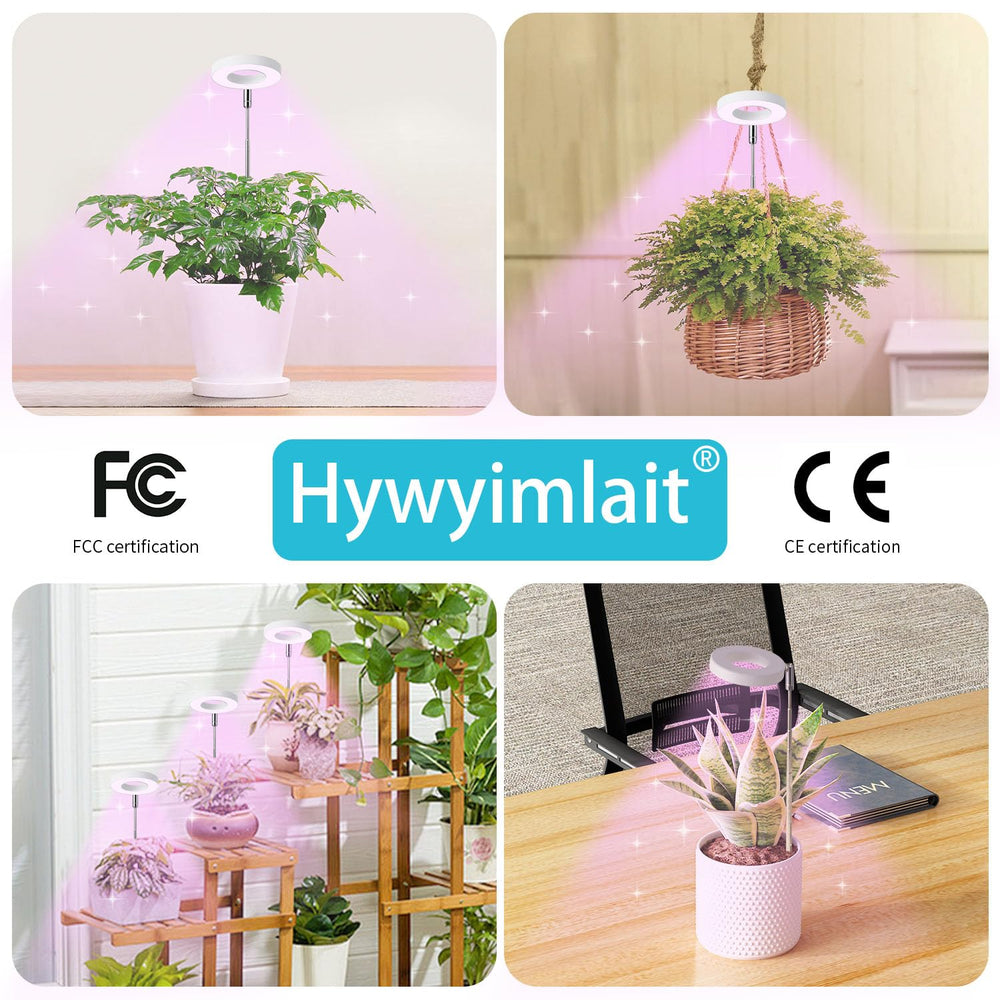 Hywyimlait halo ring on windowsill among plants showing decorative practical benefit