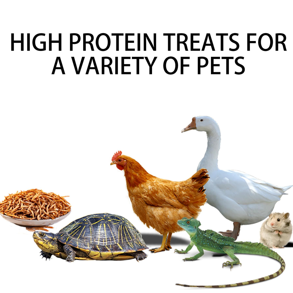 I LOVE WORMS scattered in bird feeder showing wild bird attraction benefit