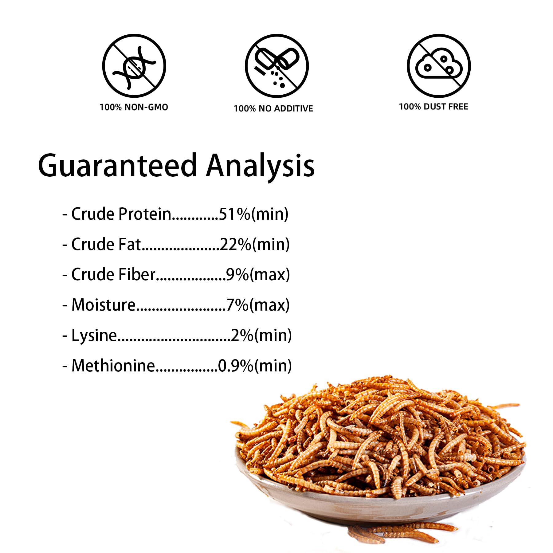 I LOVE WORMS fed to a bearded dragon showing reptile-friendly protein option