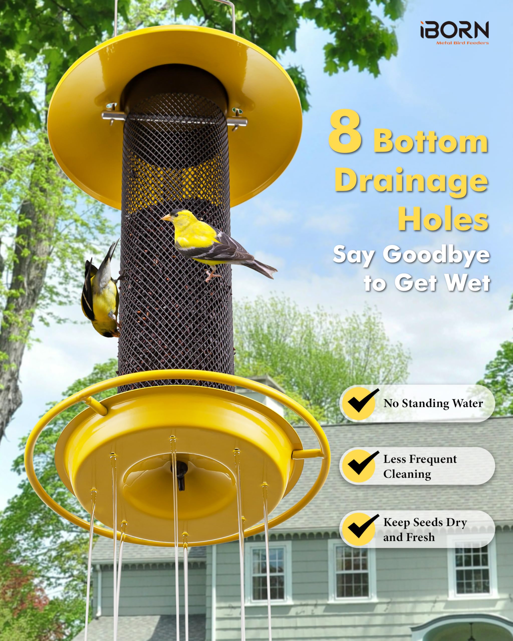 iBorn feeder hung in garden setting illustrating durable outdoor placement