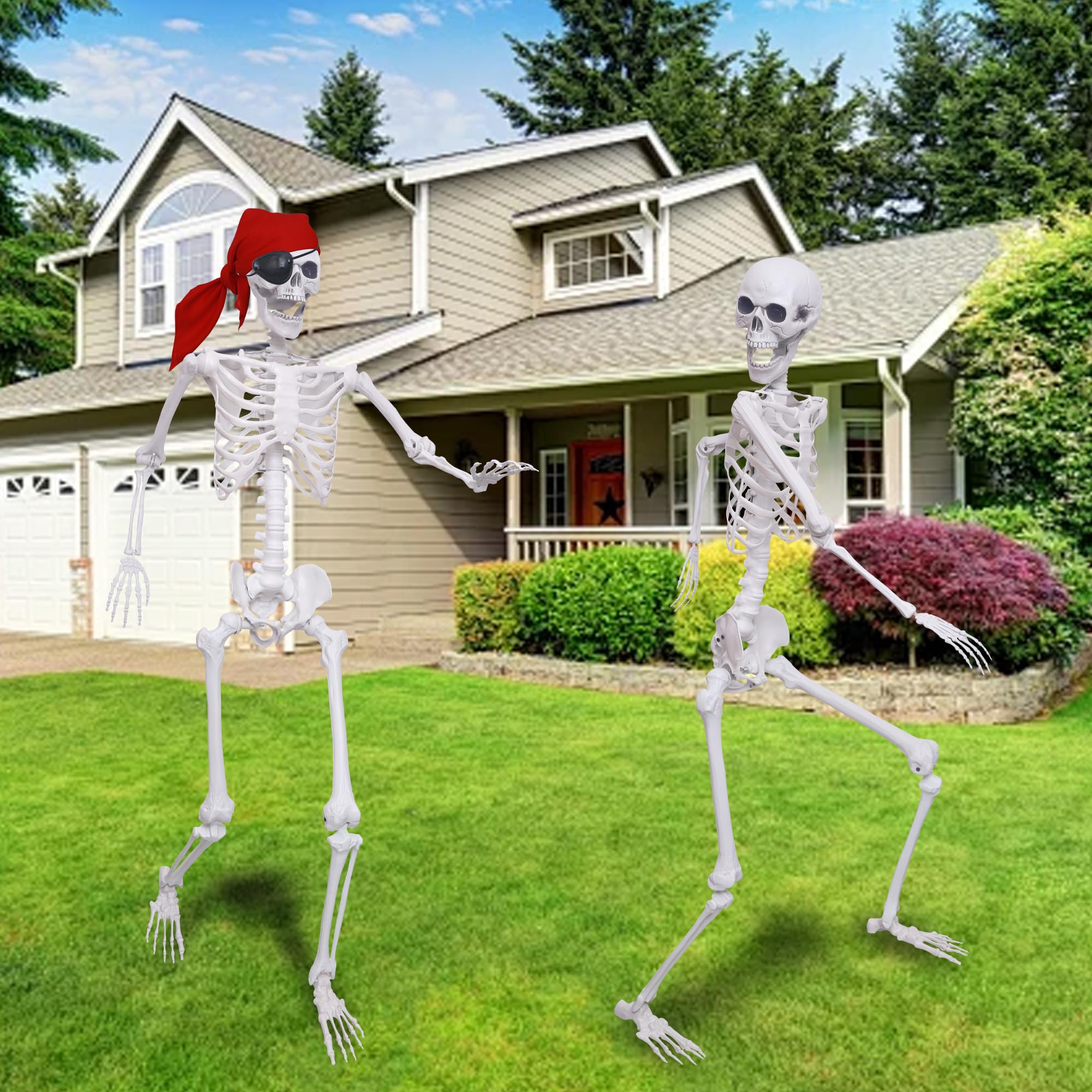 IDMOP skeleton beside chair for scale demonstrating true-to-life adult height