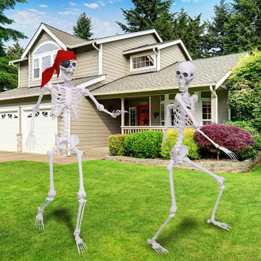 IDMOP skeleton beside chair for scale demonstrating true-to-life adult height