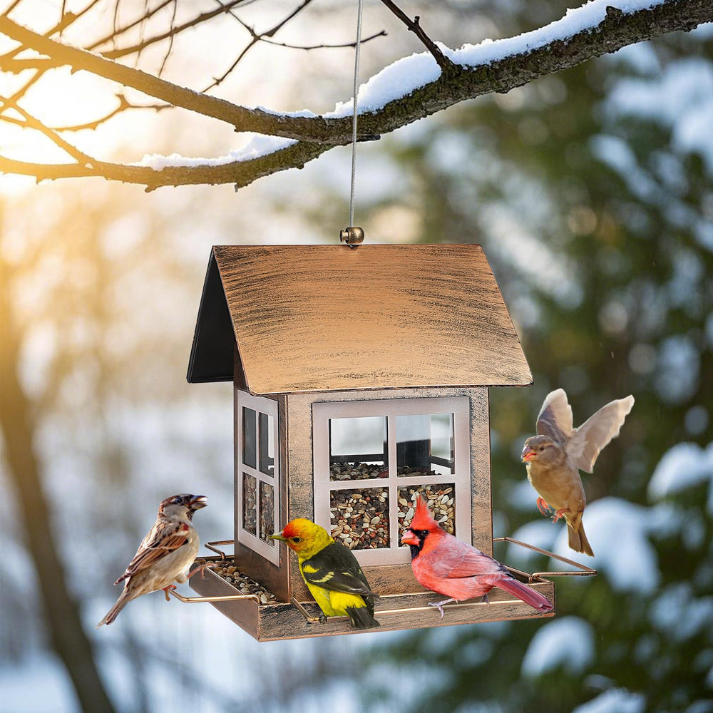 IWNTWY feeder held in hand showing scale and three-pound capacity