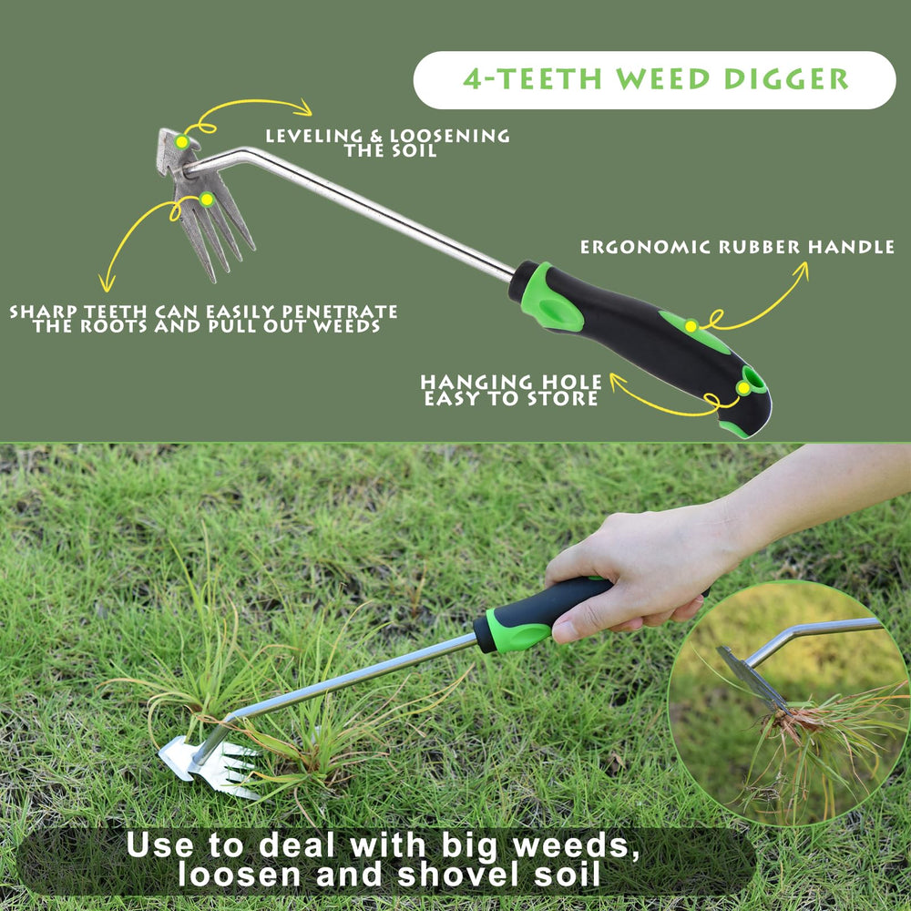 Jahenway four-tooth cultivator breaking compacted soil to loosen roots and seedlings