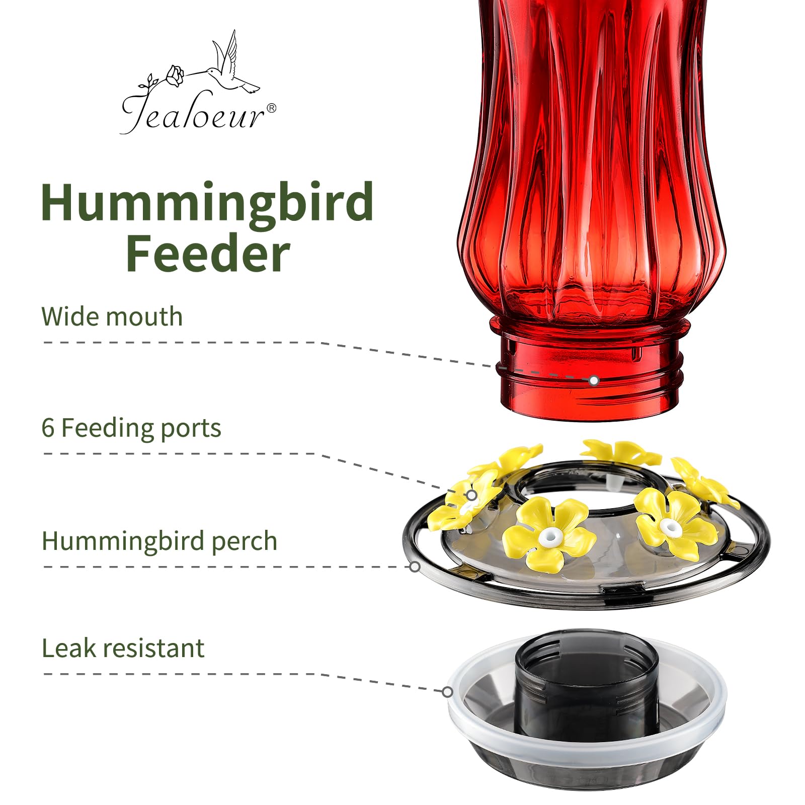 Jealoeur feeder hanging in garden near flowers to attract hummingbirds quickly