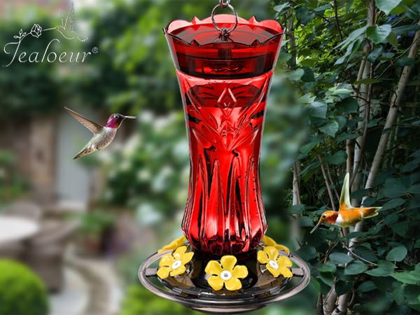 Jealoeur boxed feeder with included hanging hardware ready for gifting and installation