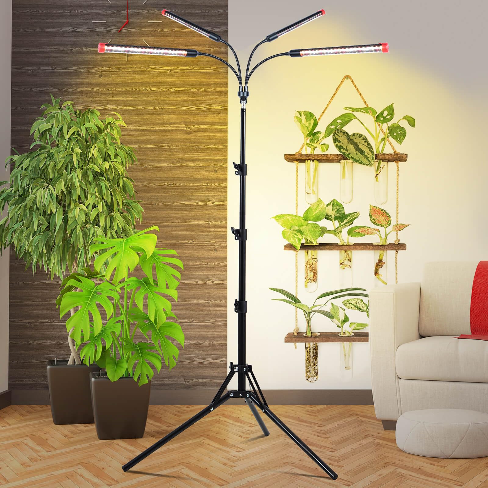 JINHONGTO next to a bonsai in a living room lifestyle scene showing full-spectrum natural look