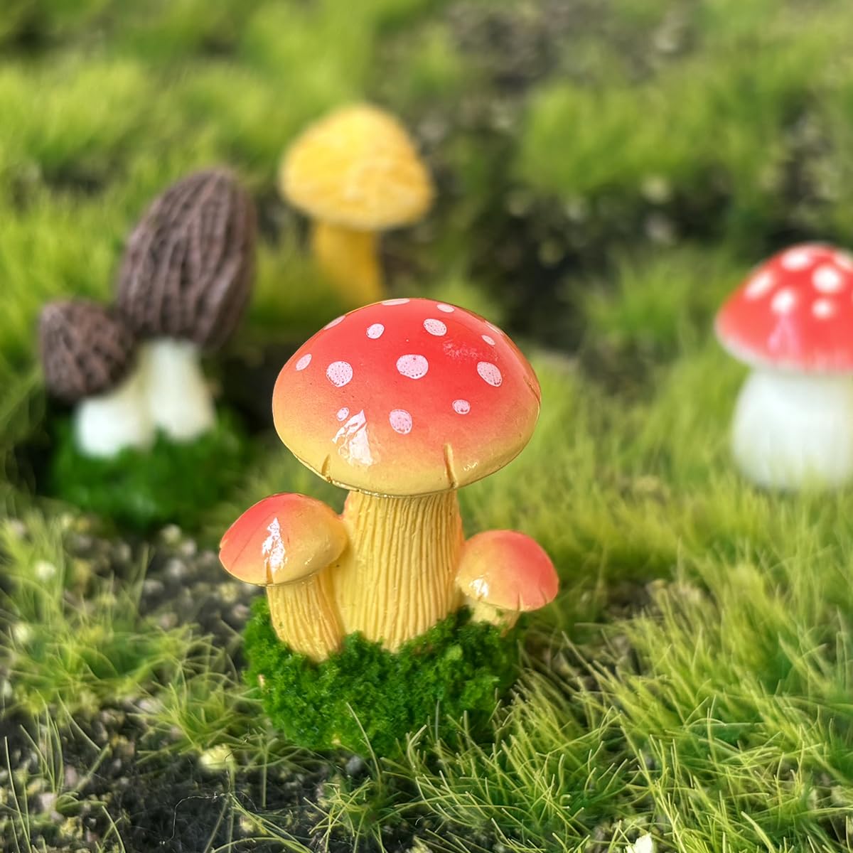 JKanruh mushrooms arranged in a succulent pot adding charm and color