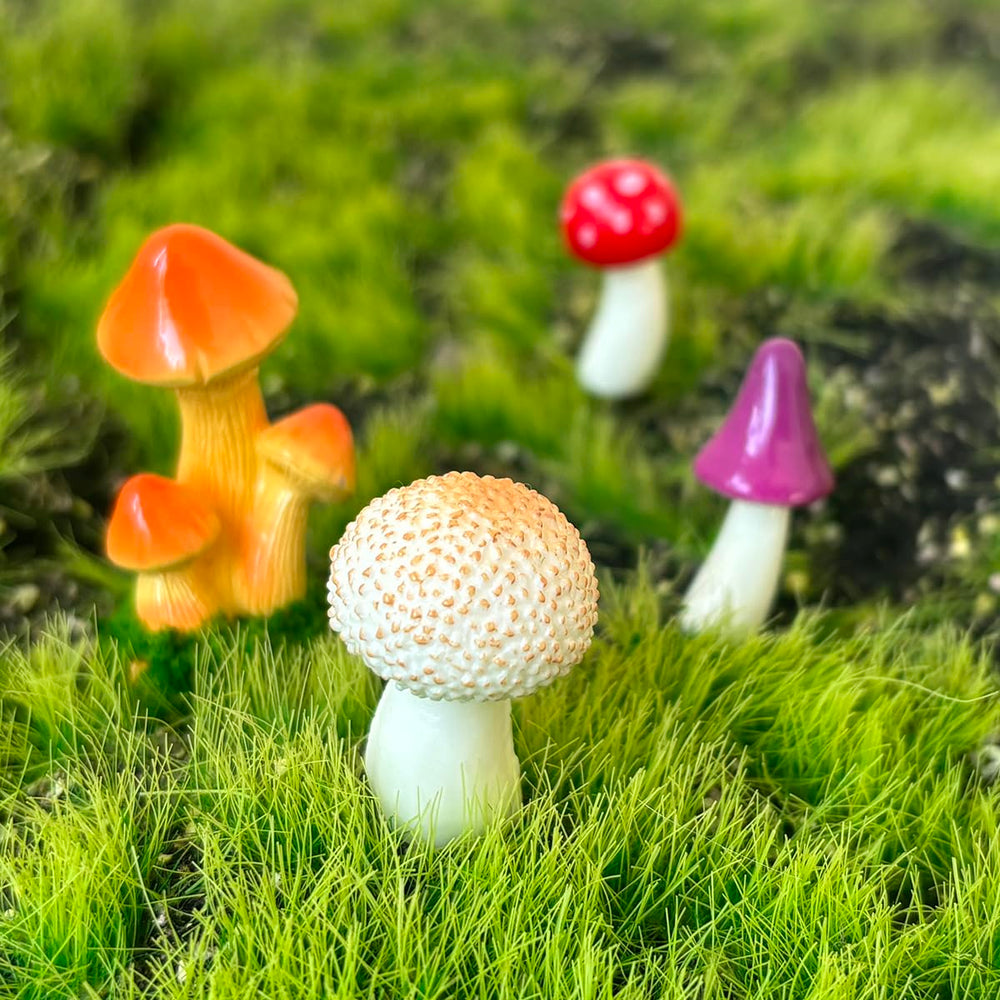 JKanruh mushrooms staged in a fairy garden creating whimsical ambiance