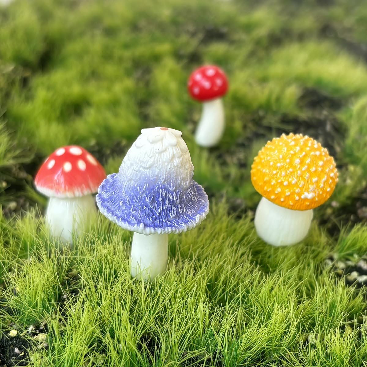 JKanruh mushrooms beside a ruler showing scale and size variety