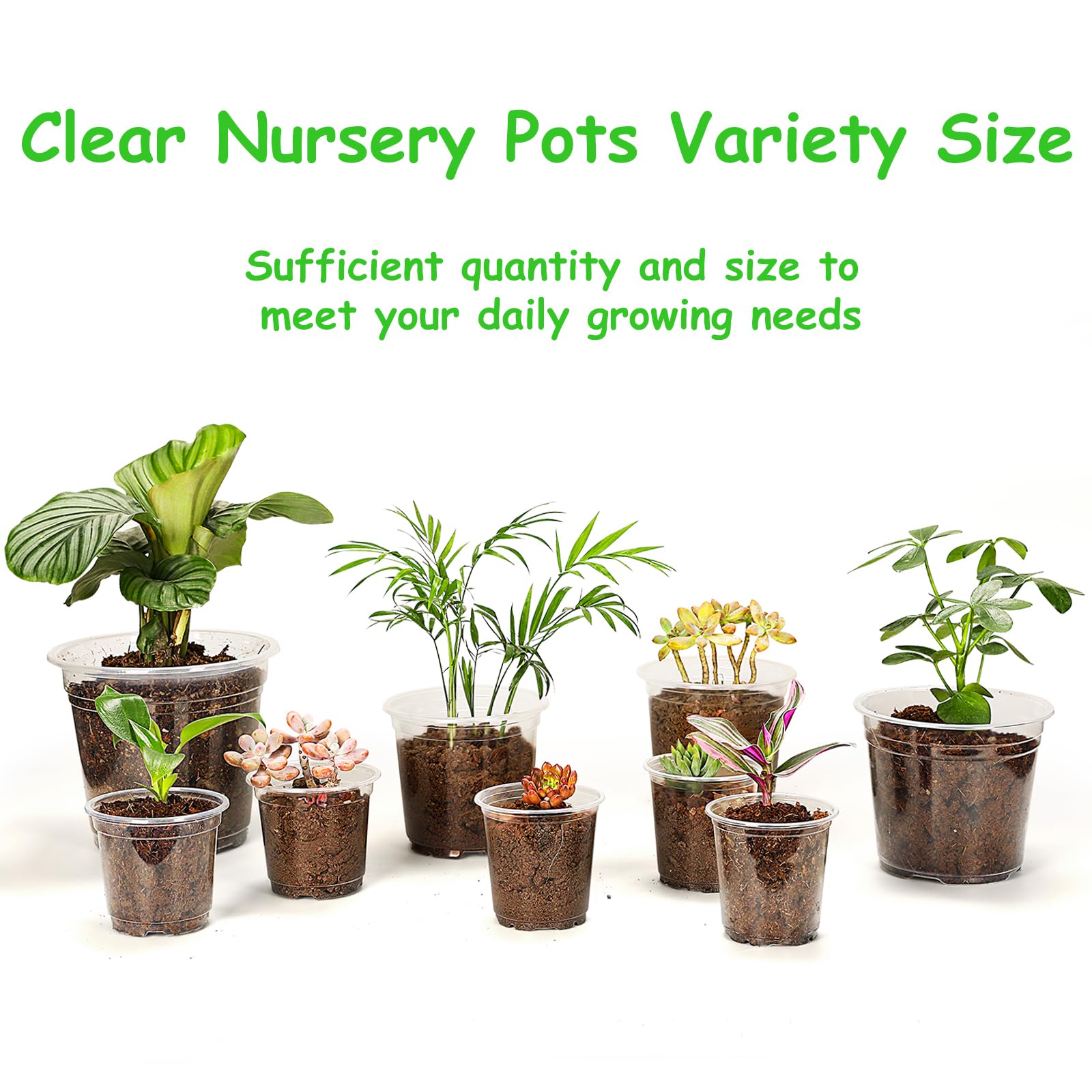 JNYONG visible roots through transparent pot aiding health checks