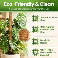 K-Brands pole supporting monstera in pot demonstrating upright growth and space saving