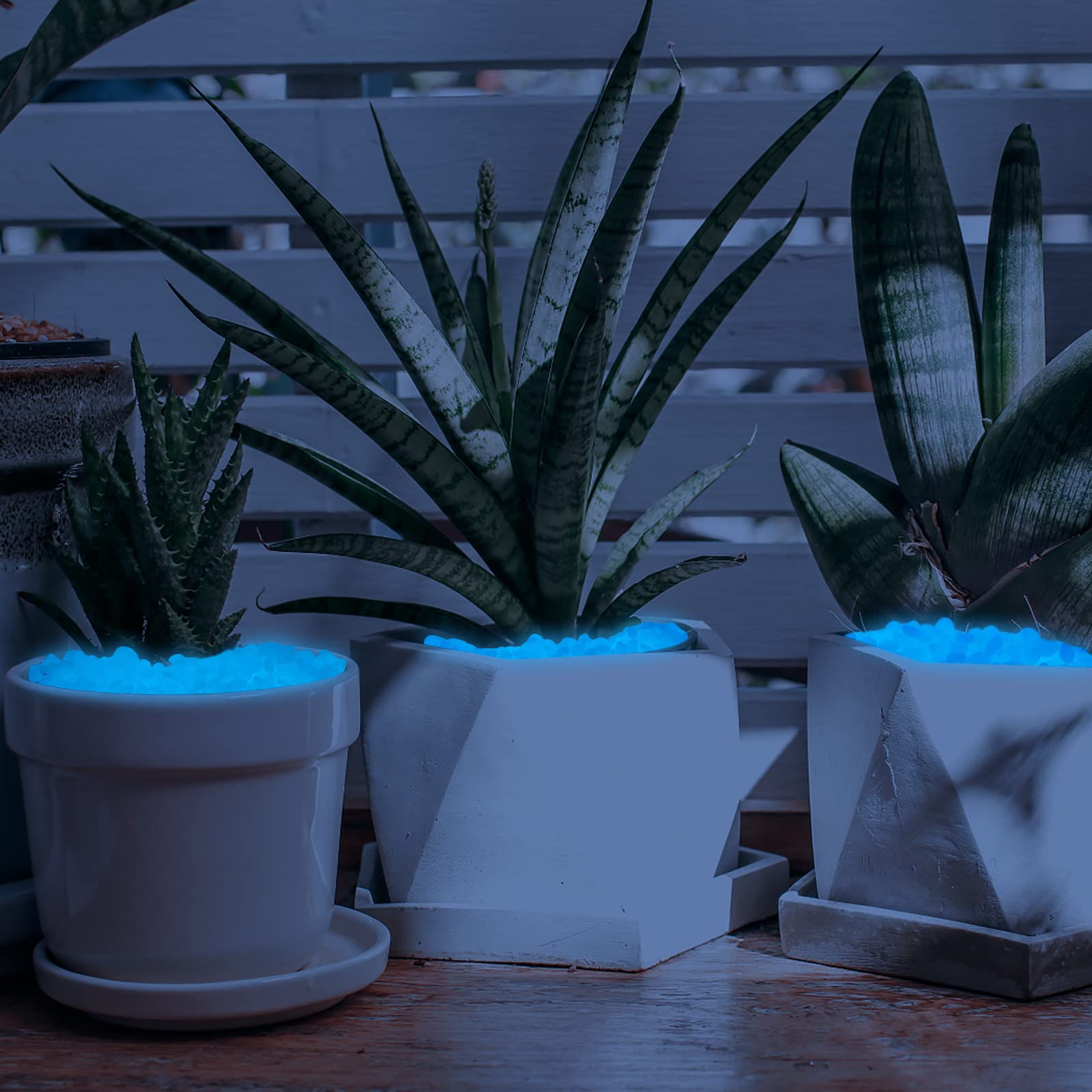 Kaiyuan Dynasty vase filled with blue luminous pebbles creating ambient centerpiece lighting