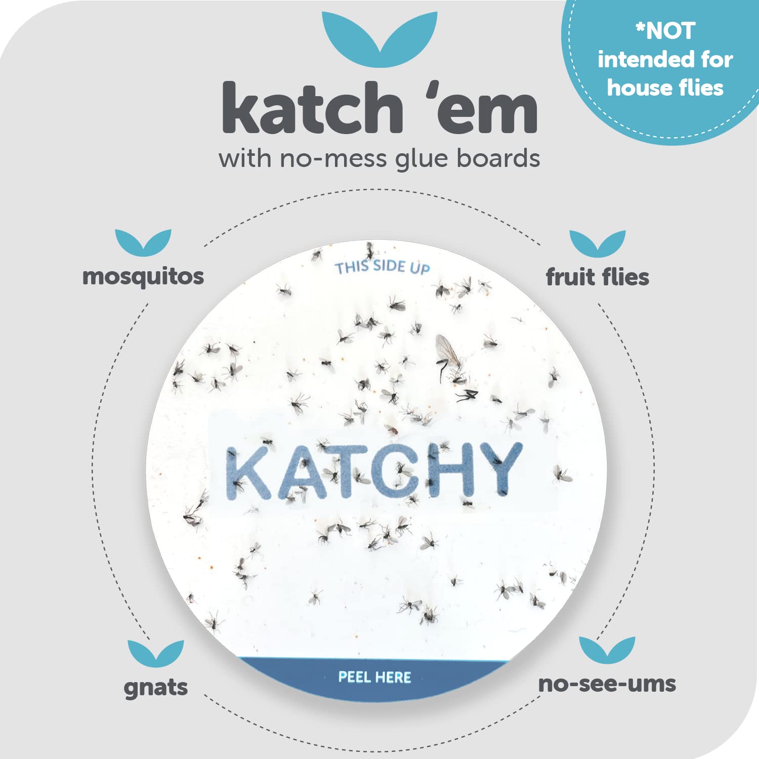 KATCHY pads installed in trap demonstrating easy placement and secure fit