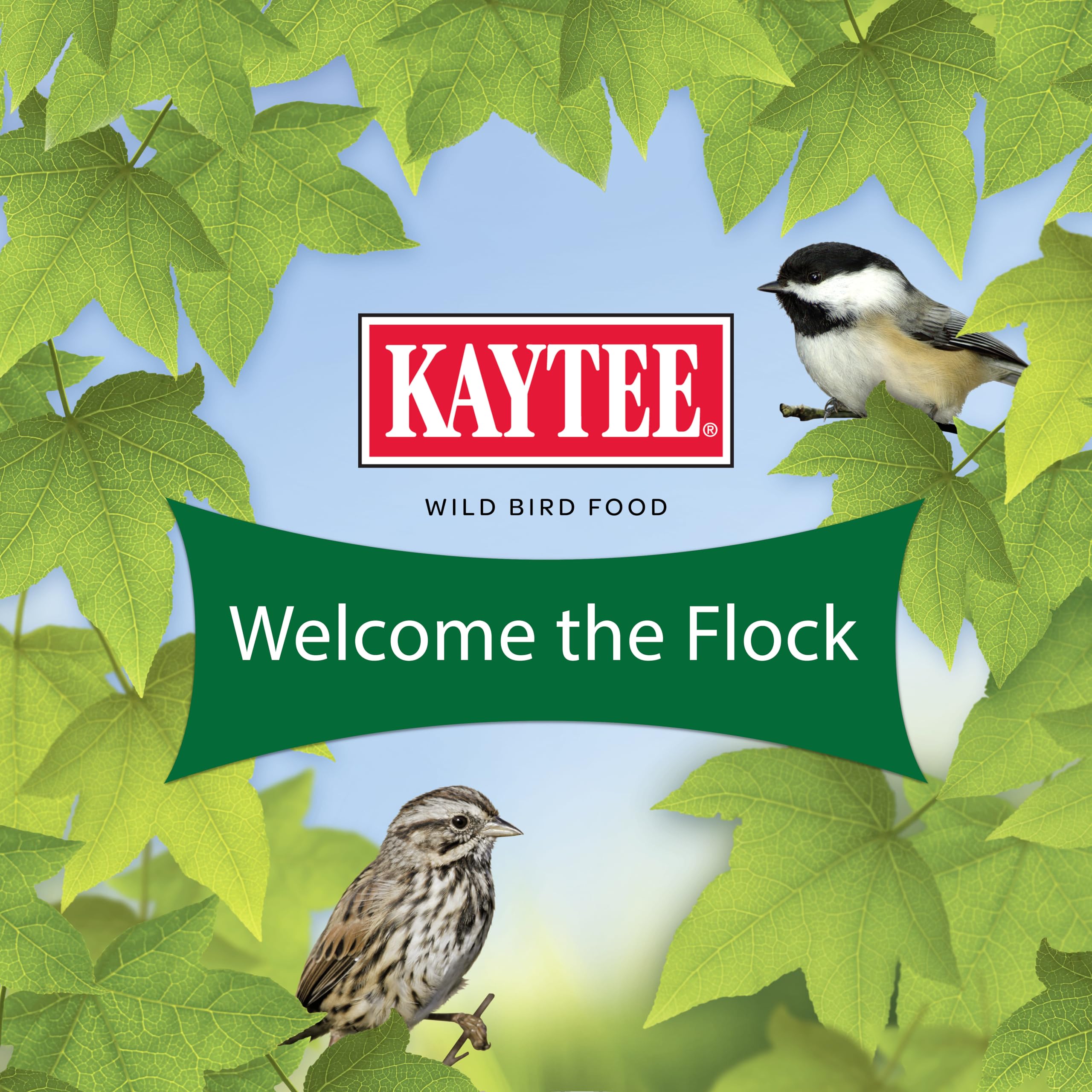 Kaytee backyard scene with feeder and birds for daily enjoyment