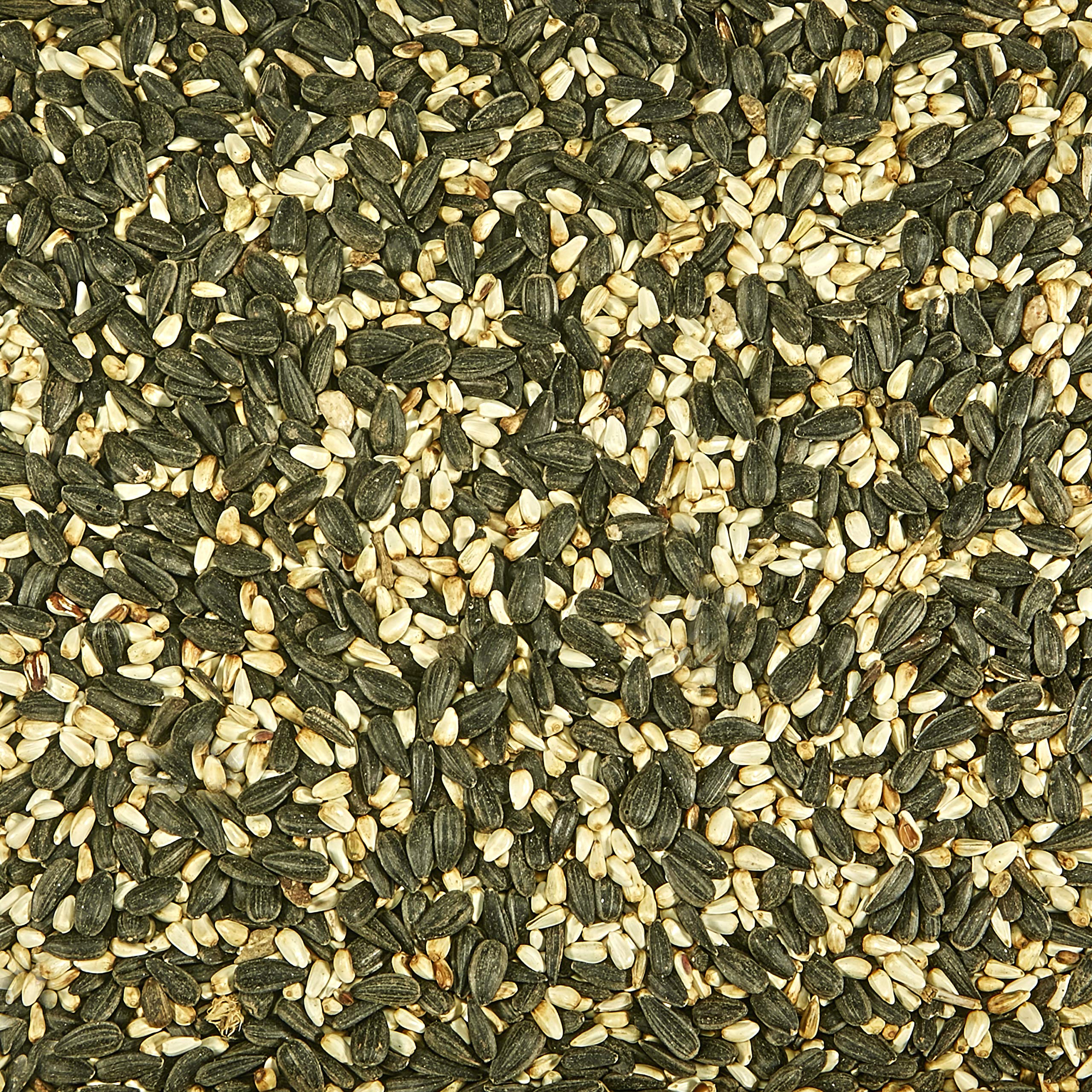 Kaytee seed close-up reveals texture and high-energy seeds benefit