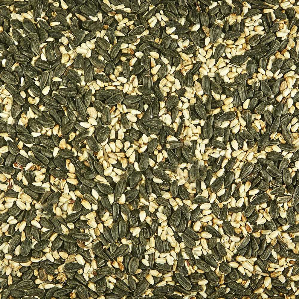 Kaytee seed close-up reveals texture and high-energy seeds benefit