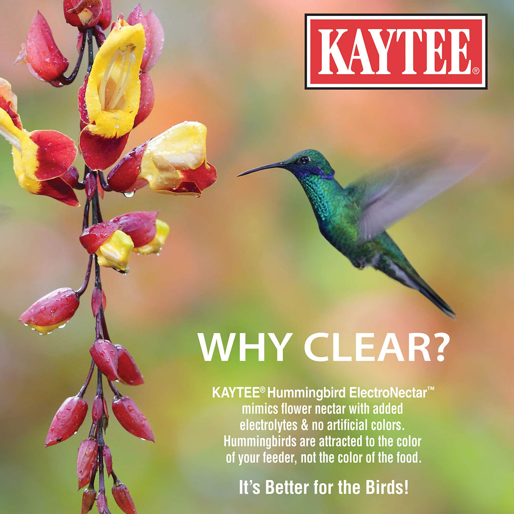 Pouring Kaytee ElectroNectar into feeder for quick, no-mix use