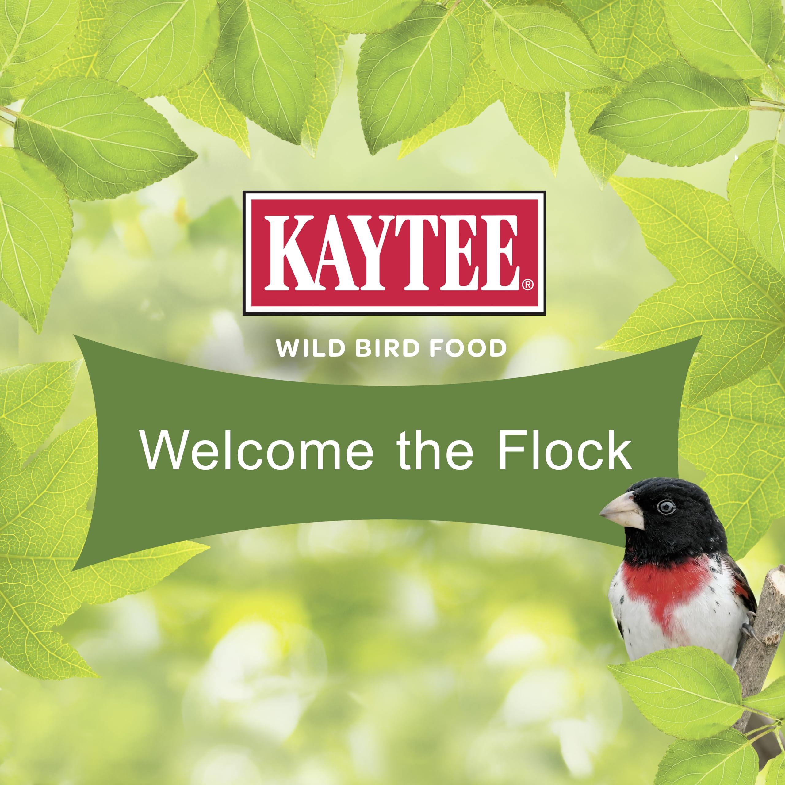 Kaytee backyard scene with feeder and binoculars capturing a birdwatching moment