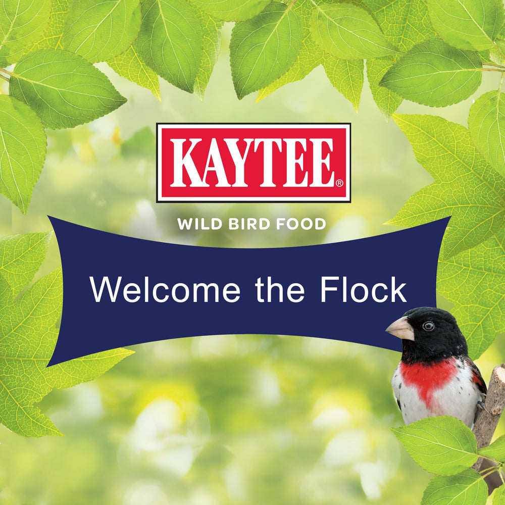 Kaytee seeds in hand displaying variety of kernels and feeding versatility benefit