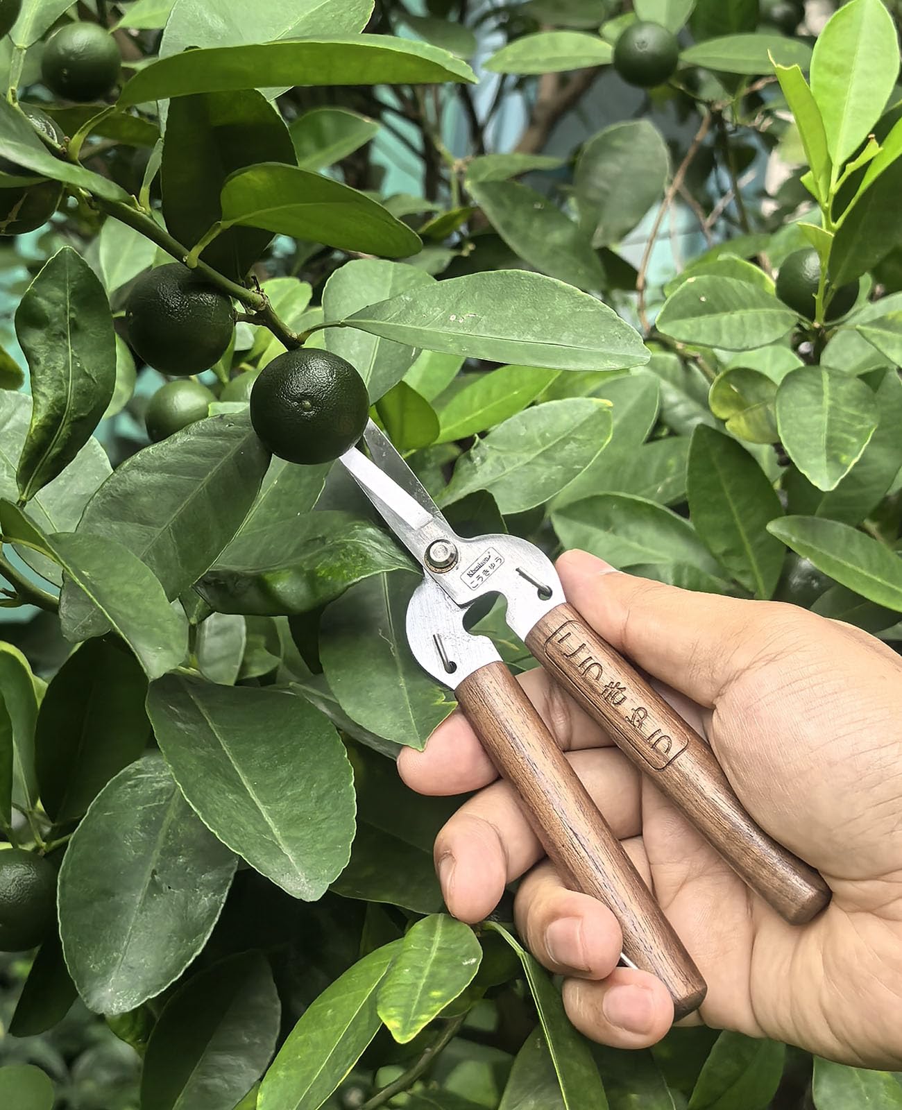 Kbenison walnut handle close-up for comfortable grip and precise control benefit