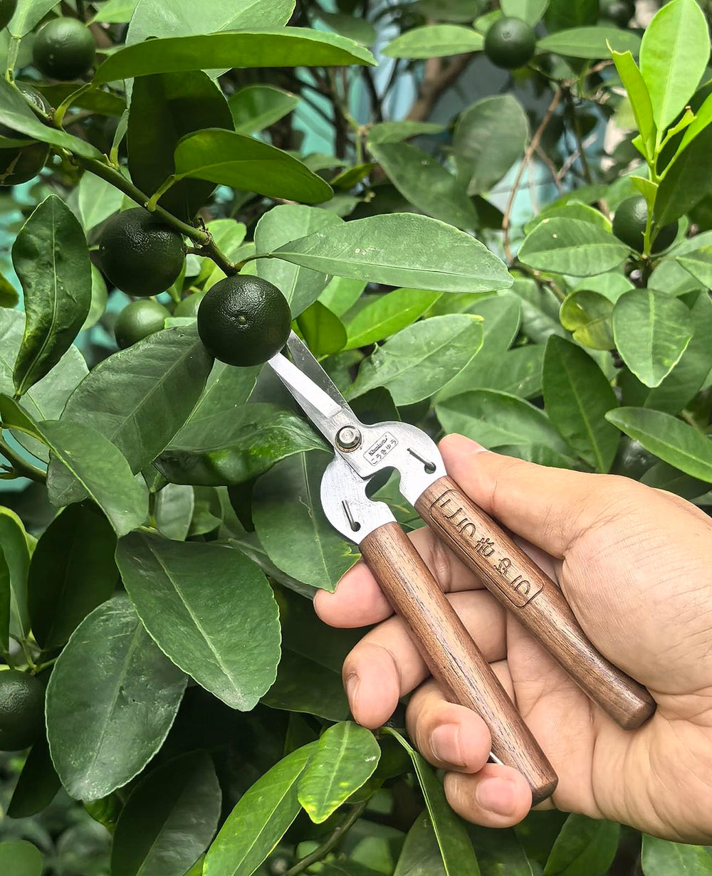 Kbenison walnut handle close-up for comfortable grip and precise control benefit