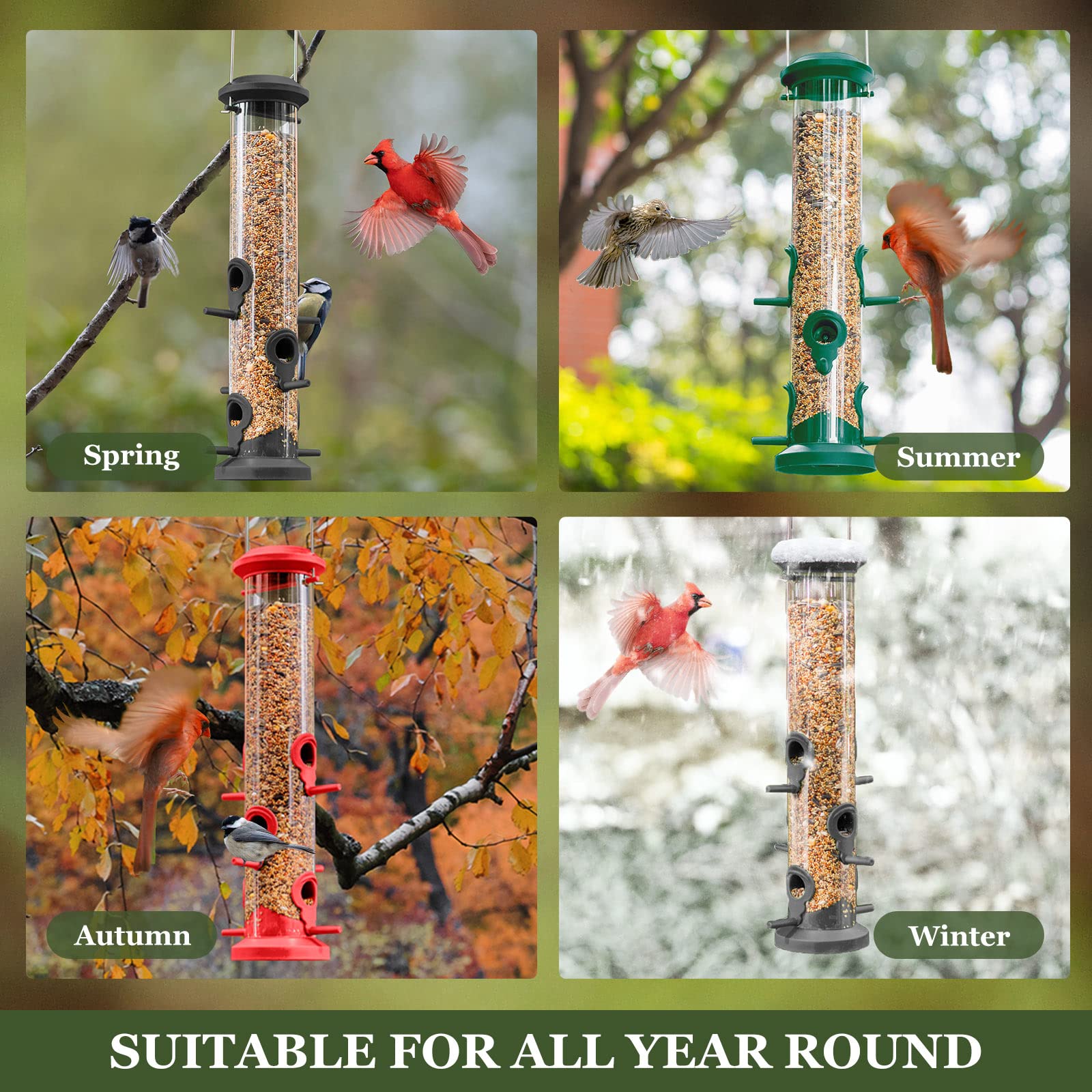 Kingsyard feeders hanging in a backyard attracting birds for enjoyable viewing benefit
