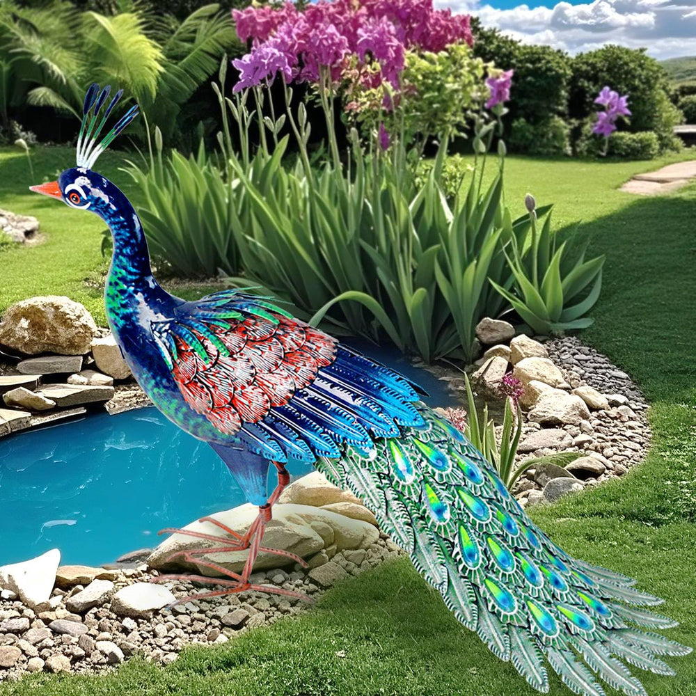 Kircust peacock front view showcasing vibrant color and garden charm