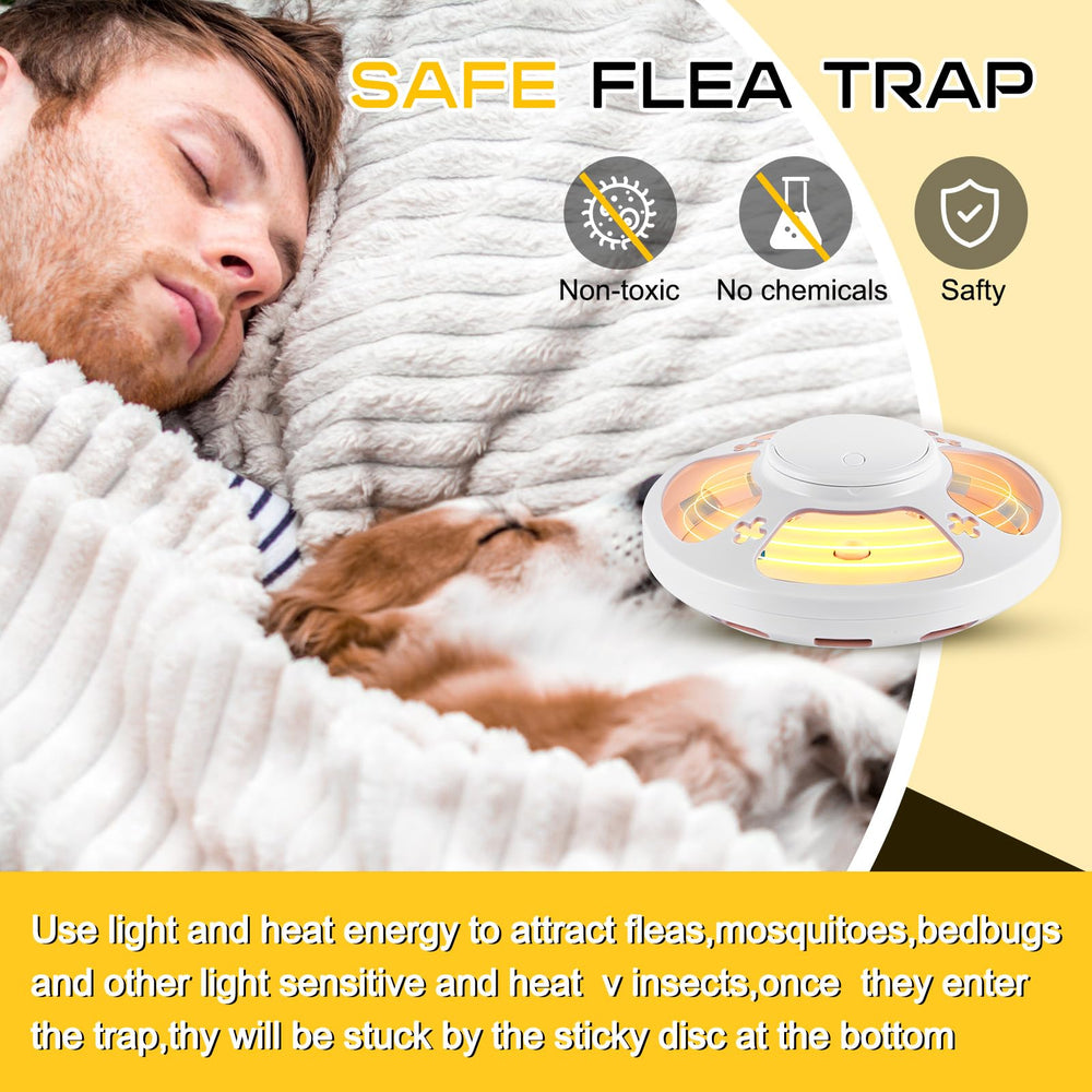 Kittmip trap placed near pet bed showing safe flea control for pet areas