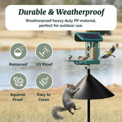 Kiwibit baffle mounted on shepherd hook in garden keeping birds' food safe
