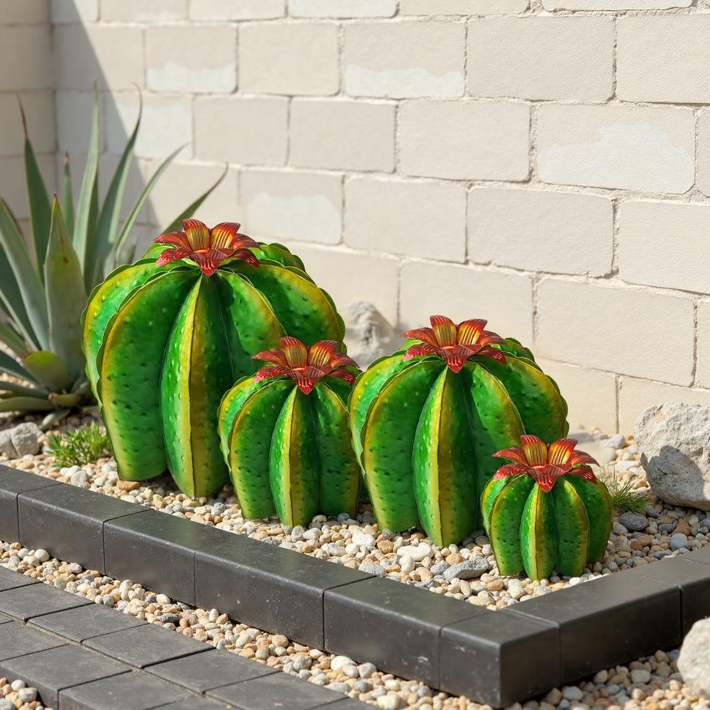 KODIBO arranged in planter to add desert charm and low-maintenance style