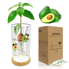 KONIDUN front view showing full avocado starter vase and holder benefits