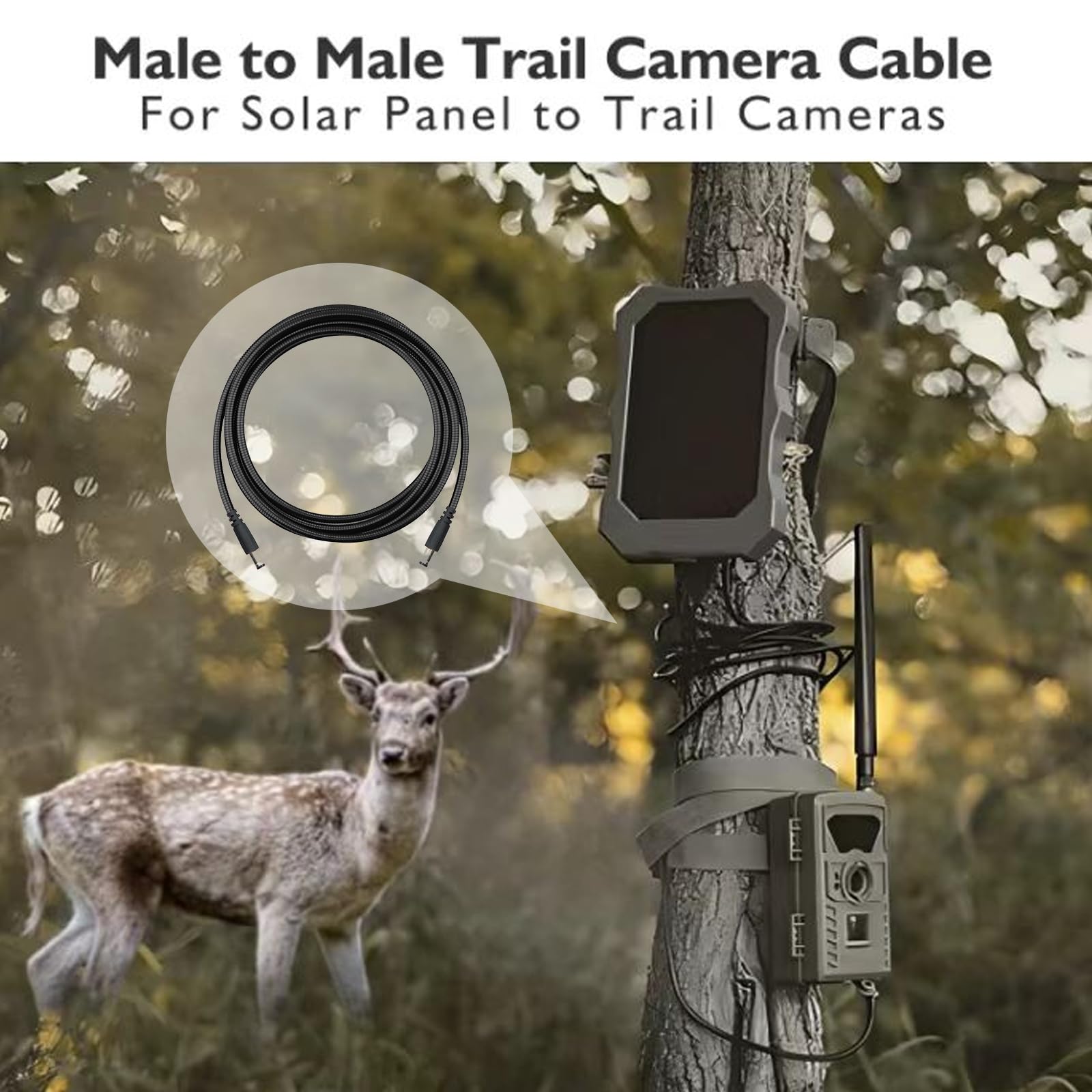 KSK cable connected to trail camera and solar panel for uninterrupted power