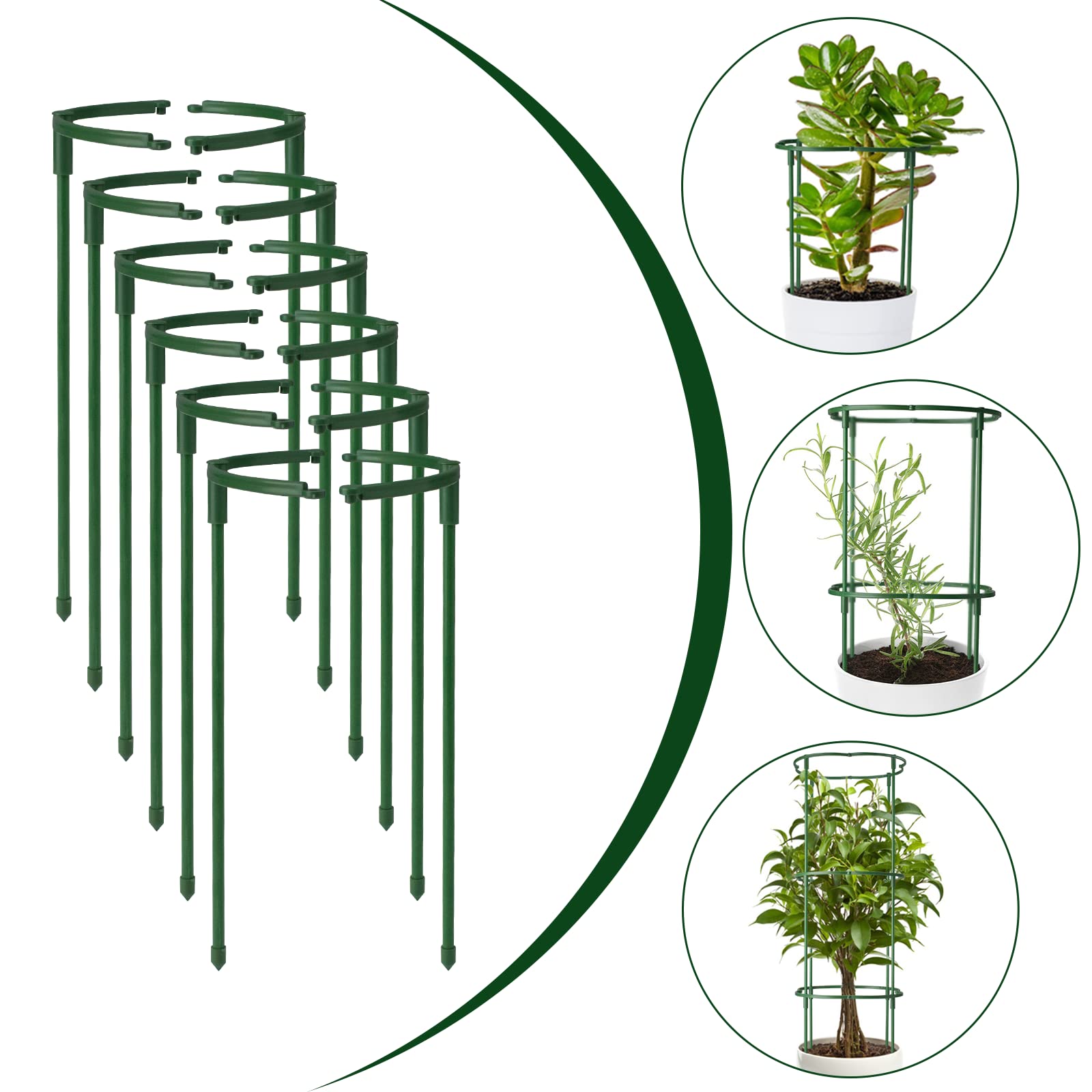 kulusion circle-formed fence around plant illustrating stronger support benefit