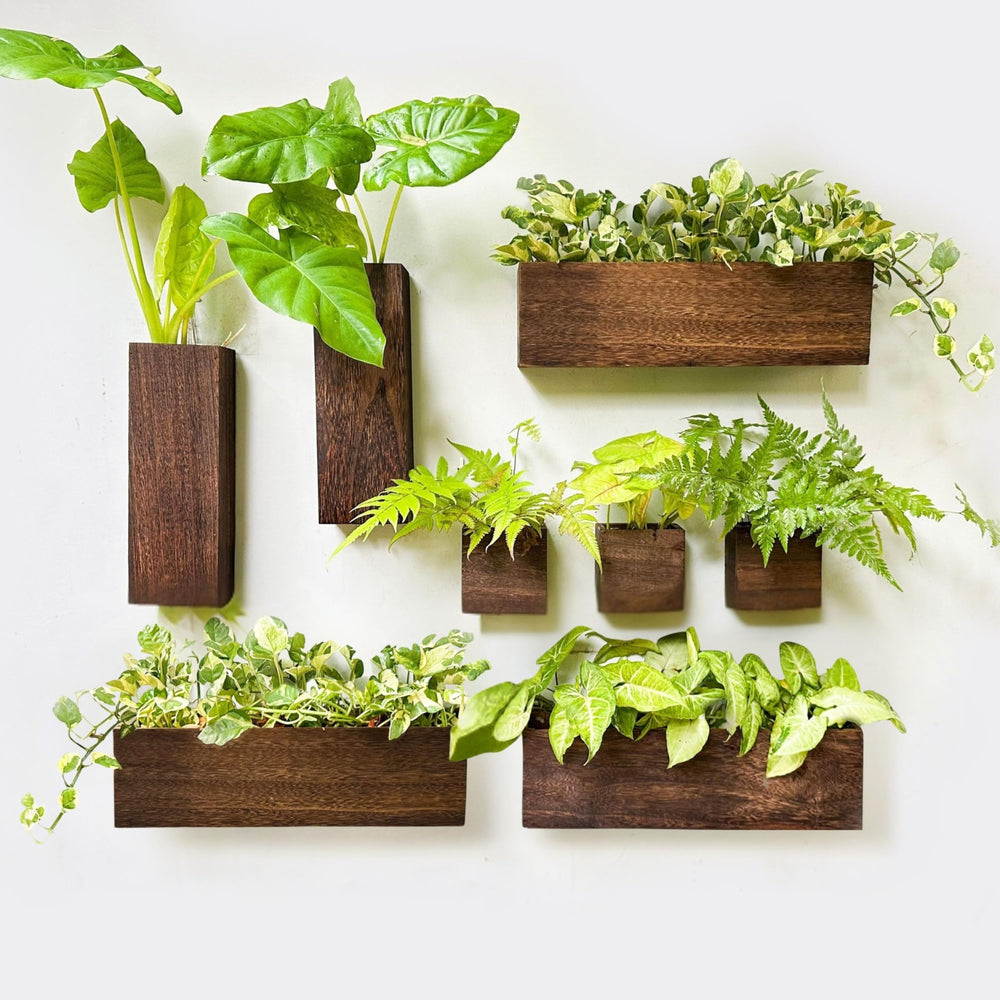 LáLáGreen front view of eight wooden wall planters showing clean lines and warm tone for décor