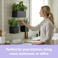 LáLáGreen planters mounted on brick wall offering space-saving greenery