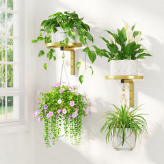LASZOLA front view of gold wall-mounted plant hanger showing sleek bracket and tray