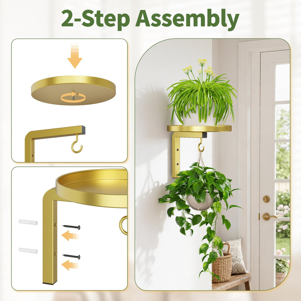 LASZOLA scale comparison with a standard ceramic pot to show tray size