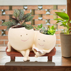 LAUGOKOBE side profile head planter showing shape and depth