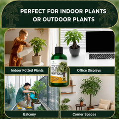 Leaves and Soul bottle beside a potted money tree conveying compatible use