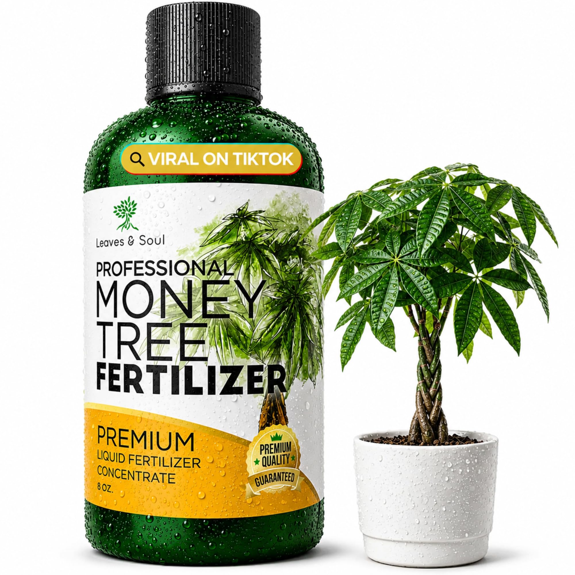 Leaves and Soul front label showing 3-1-2 concentrate and clear directions