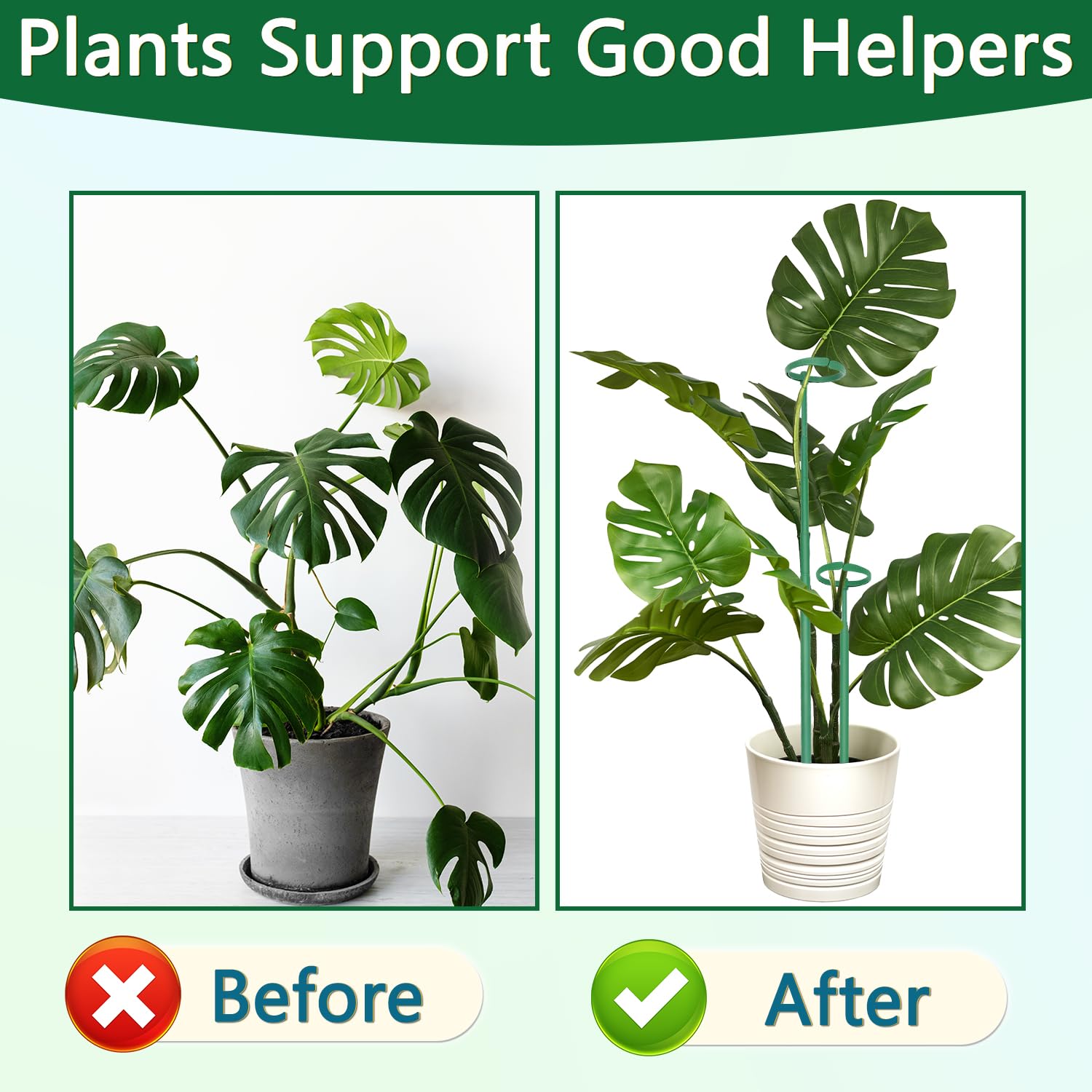 LECAMEBOR hands adjusting telescoping length for quick, precise plant training