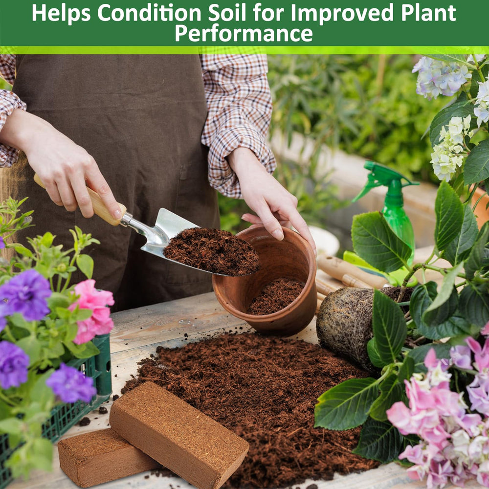 Legigo indoor pots using coco coir for healthier-looking container plants