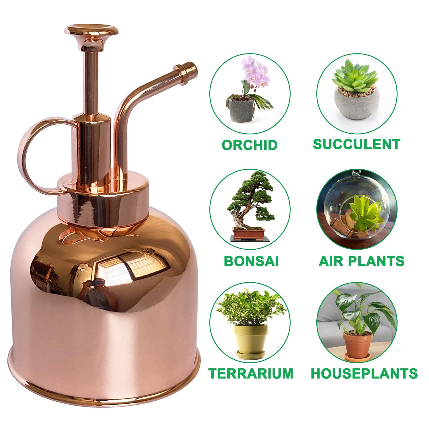 Lianshi placed on shelf among plants highlighting decorative and functional design