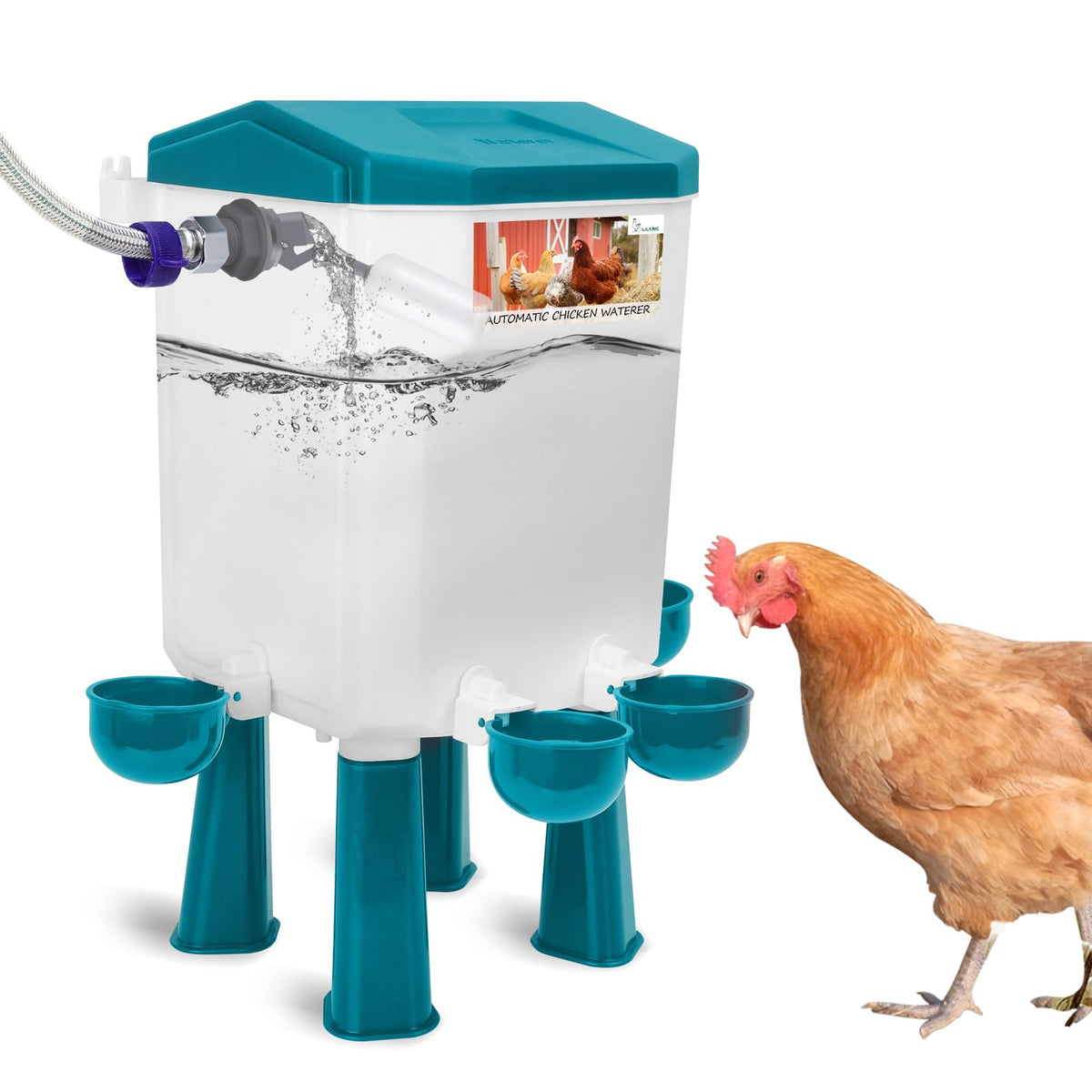 Lilyang front view of packaged automatic chicken waterer showing complete kit and benefits