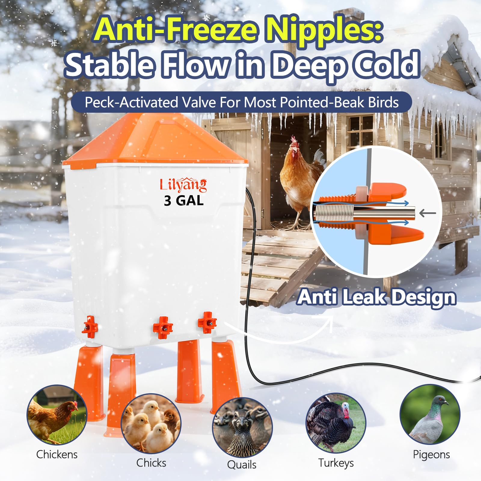 Lilyang hanging and standing setups showing flexible installation benefit