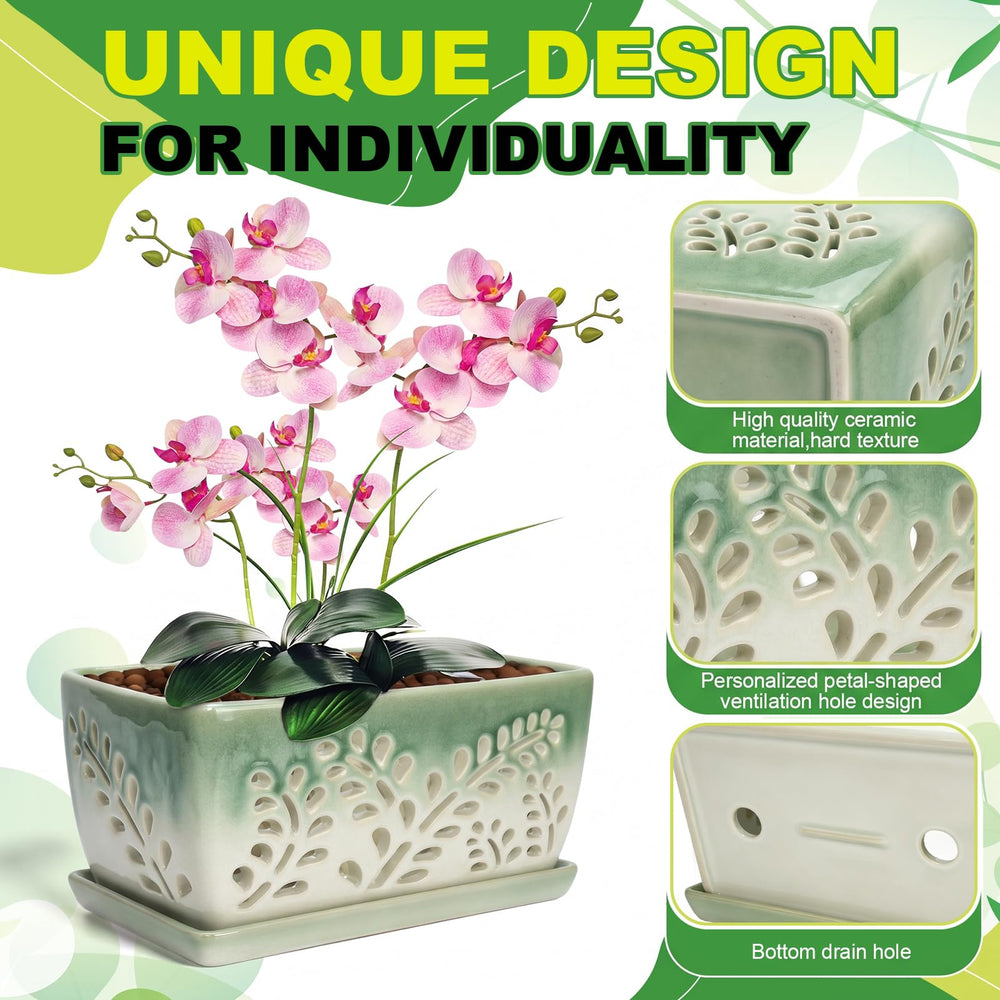 LKSSZS pot planted with two orchids on shelf demonstrating attractive display