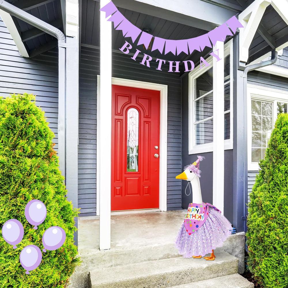 Locmeo outfit on a porch goose full scene demonstrating festive curb appeal