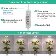 LORDEM telescopic rod extended to show height adjustability and flexible coverage