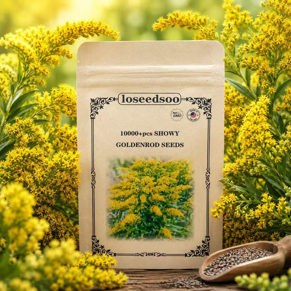 Loseedsoo seed pack front view clearly labeled for easy planting